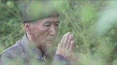 佐佐木 风俗在线观看,揭秘日本风俗文化之旅  第3张